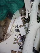 IMGP9580