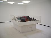 a_IMGP9701