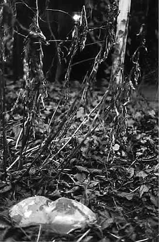 Die H&ouml;hle von Castelton