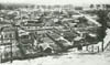 pic064a