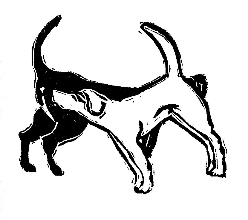 FontanaM5