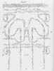 feuillet_gr
